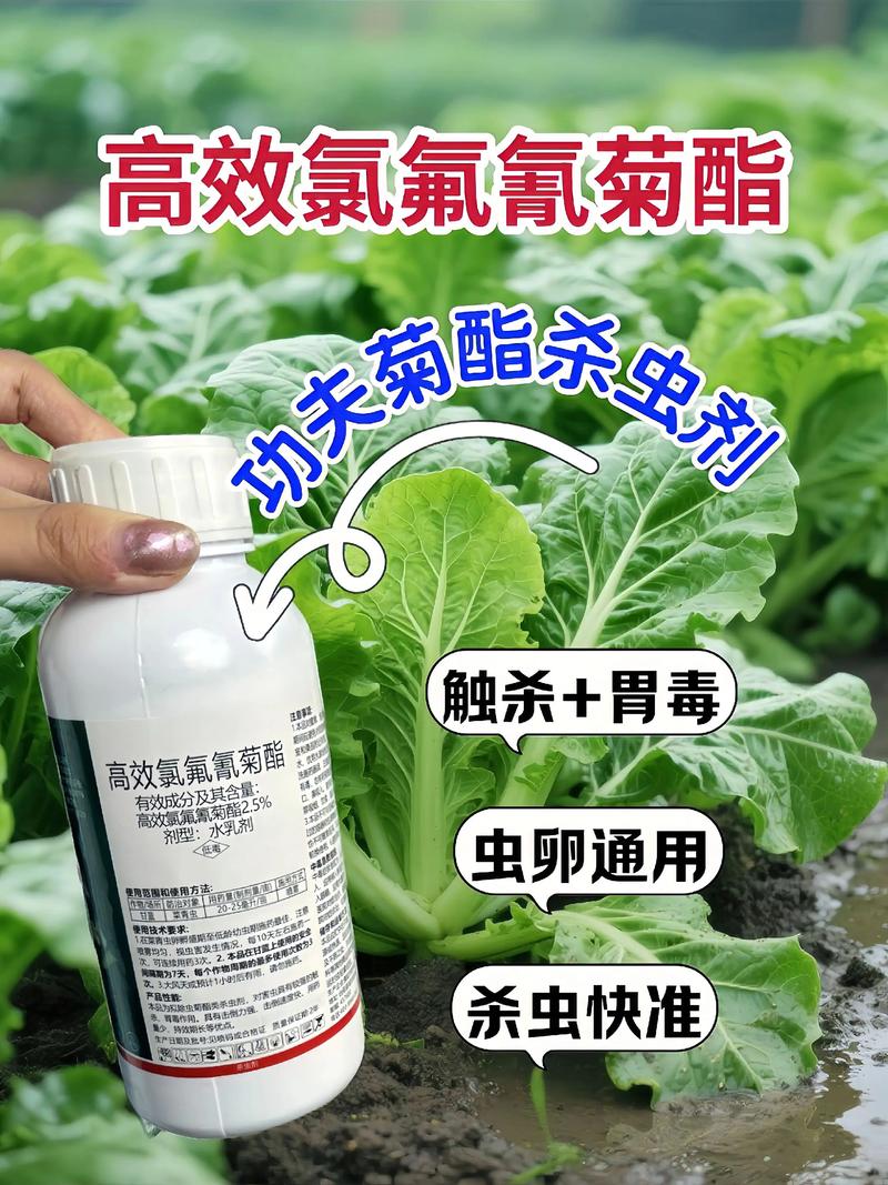 永州代生中心:农药对供卵代生妈妈的危害